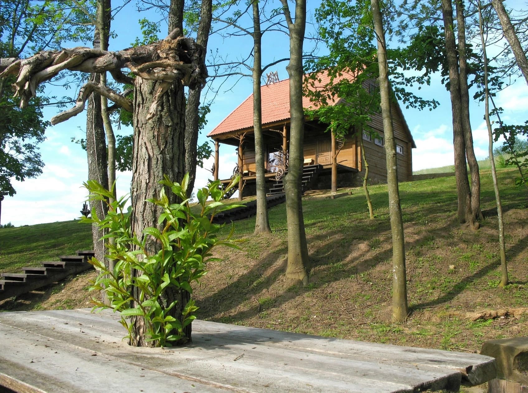 Sodyba tarp medžių nuo vandens pusės